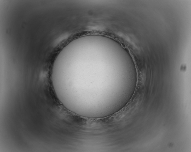 X0000102851254200808251154