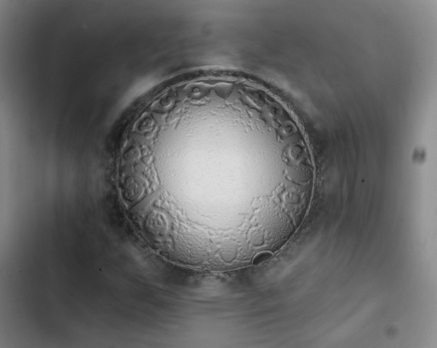 X0000102851255200808251154