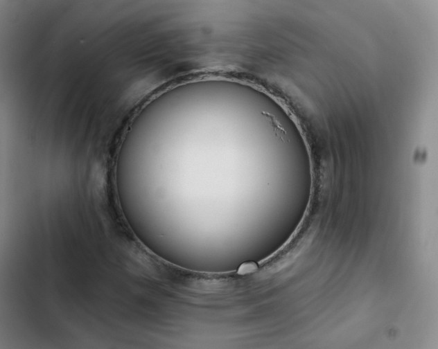 X0000102851257200808251154
