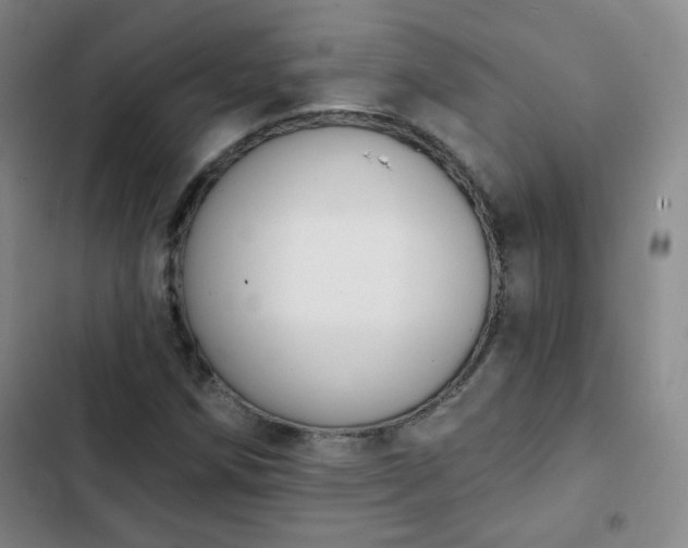 X0000102851258200808251154