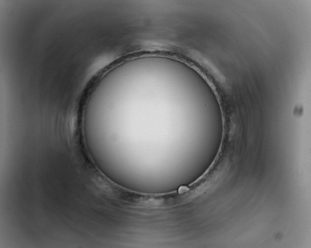 X0000102851261200808251154