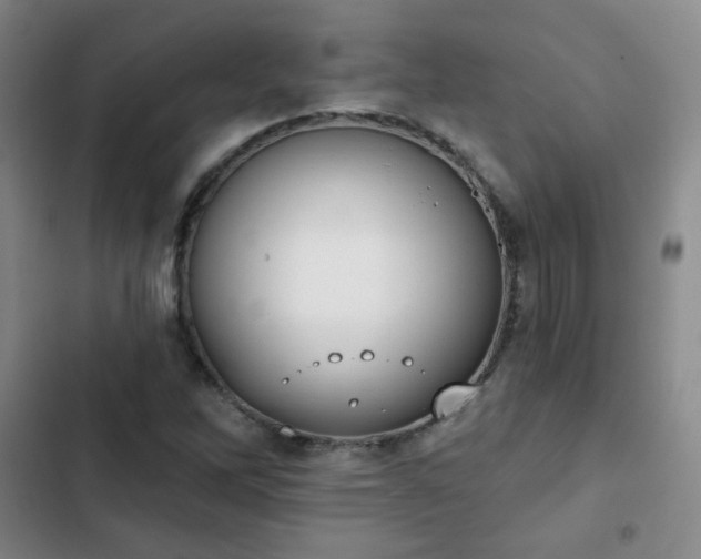 X0000102851262200808251154