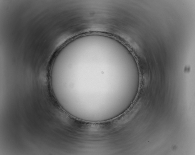 X0000102851266200808251154