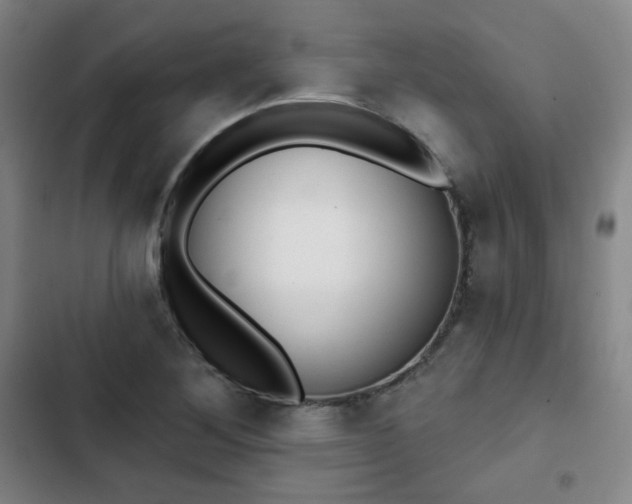 X0000102851268200808251154