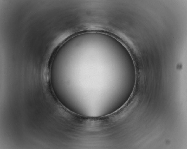 X0000102851269200808251154