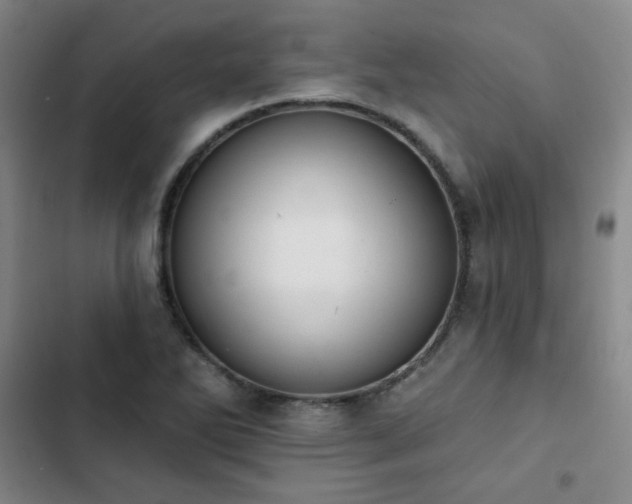 X0000102851270200808251154