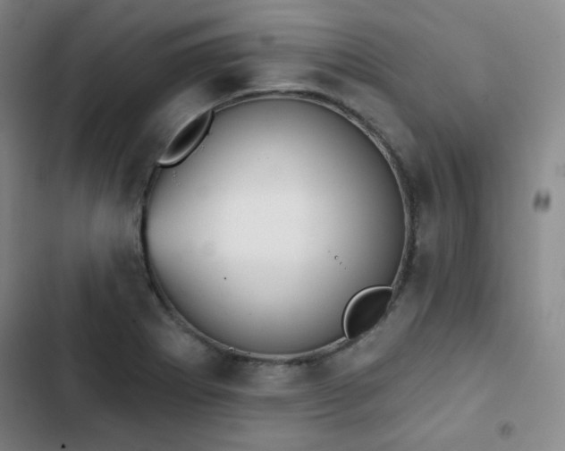 X0000102851273200808251154