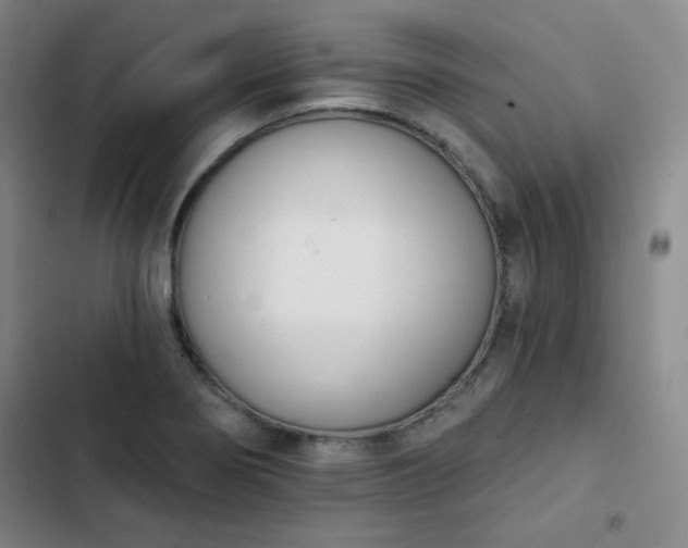 X0000102851274200808251154