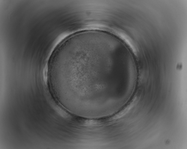 X0000102851275200808251154
