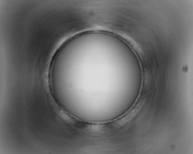 X0000102851278200808251153