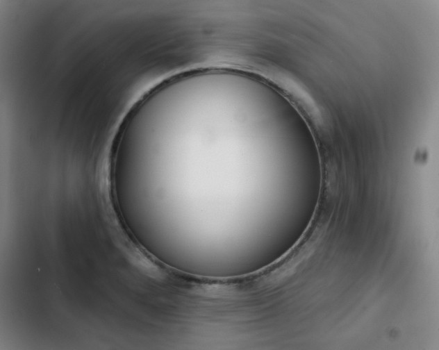 X0000102851280200808251153