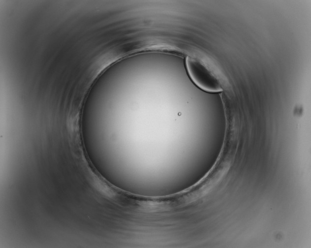 X0000102851281200808251153