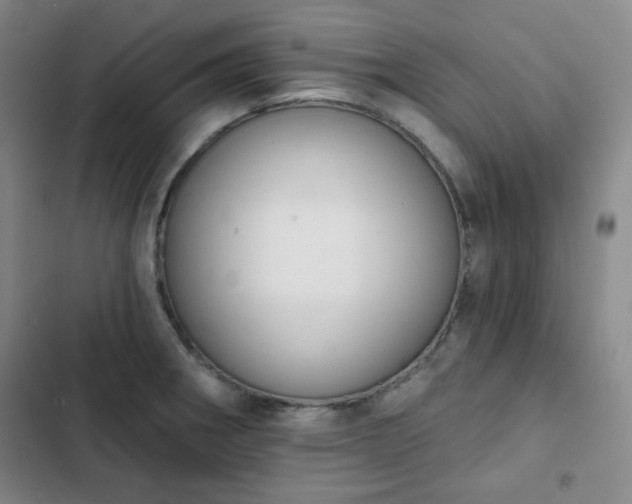 X0000102851282200808251153