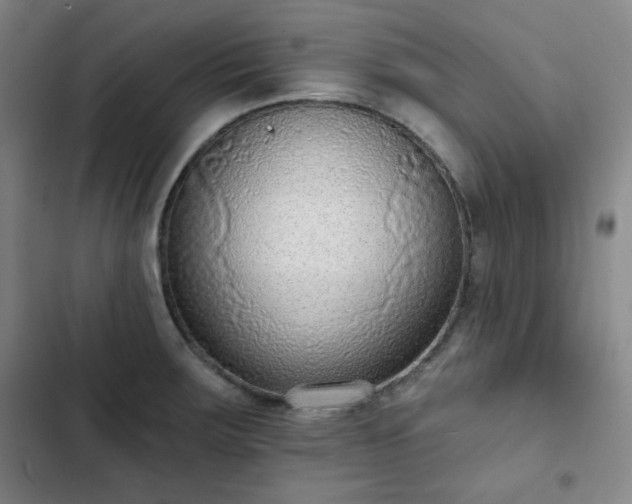 X0000102851283200808251153