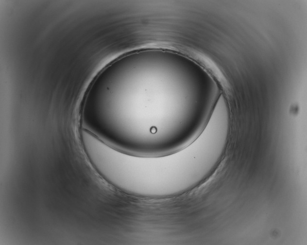 X0000102851284200808251153