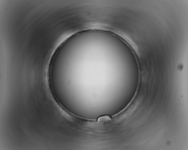 X0000102851285200808251153