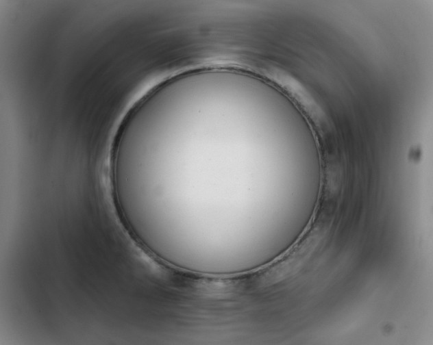 X0000102851286200808251153