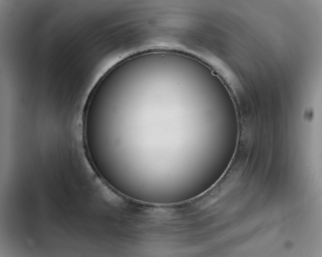 X0000102851287200808251153