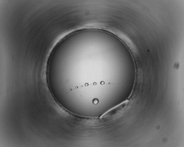 X0000102851288200808251153