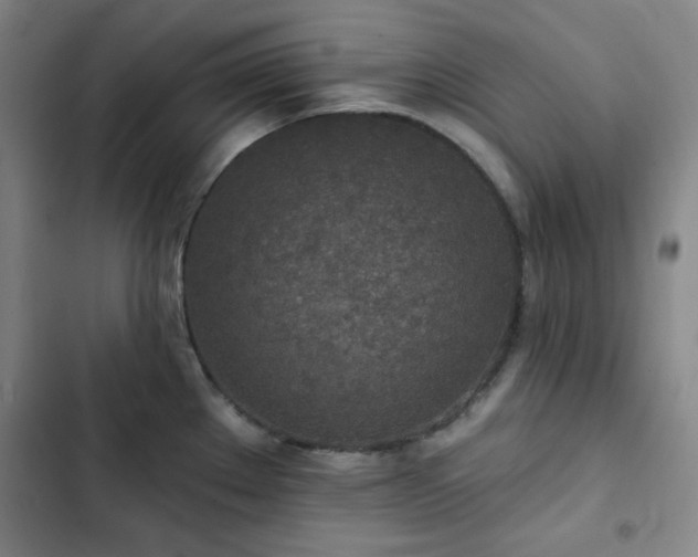 X0000102851289200808251153