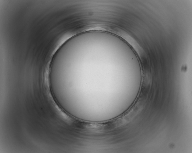 X0000102851290200808251153