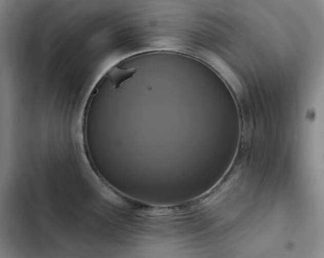 X0000102851291200808251153