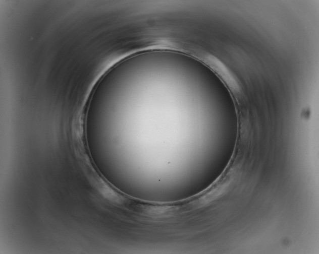 X0000102851292200808251153