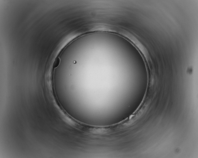 X0000102851293200808251153