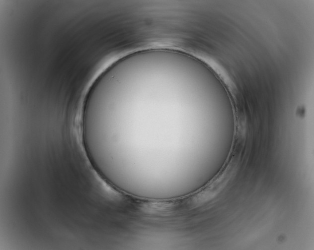 X0000102851294200808251153