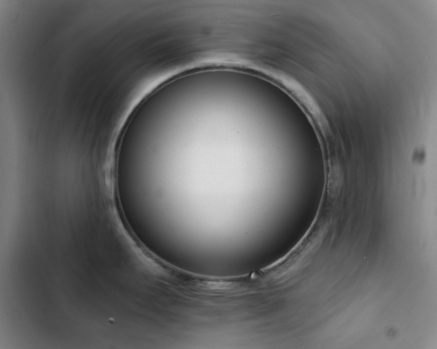 X0000102851295200808251153