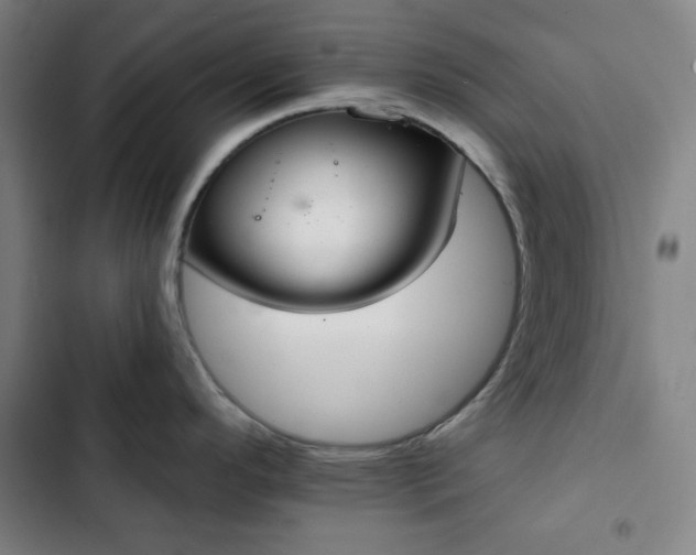 X0000102851296200808251153