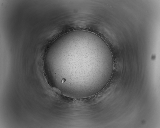 X0000102851297200808251152