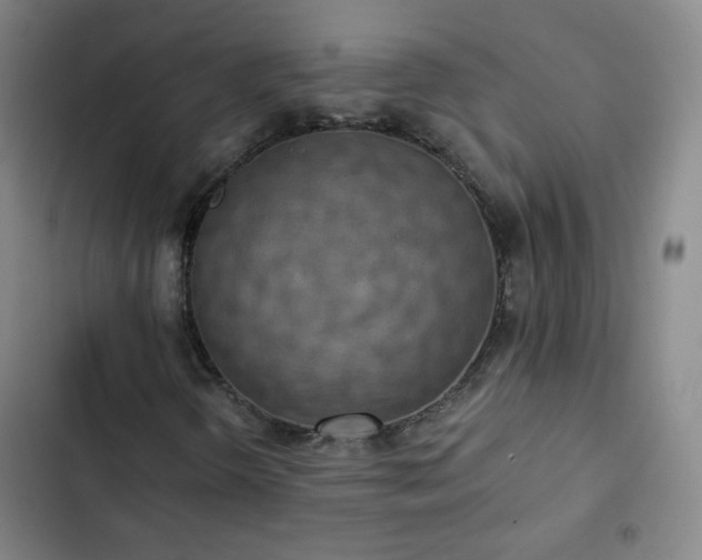 X0000102851298200808251152