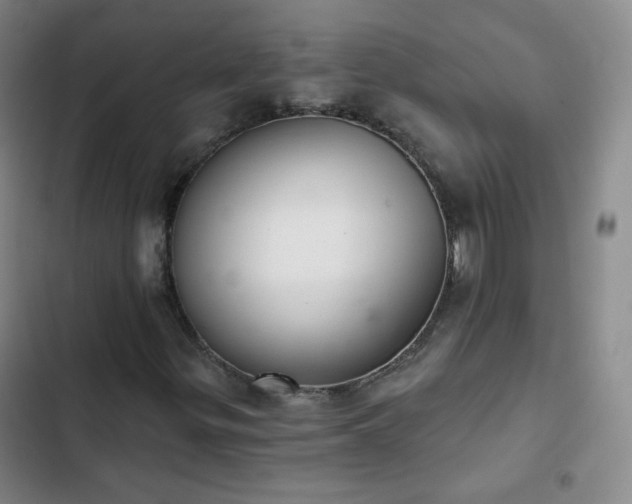 X0000102851299200808251152