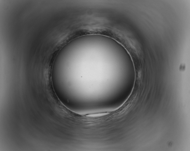 X0000102851300200808251152
