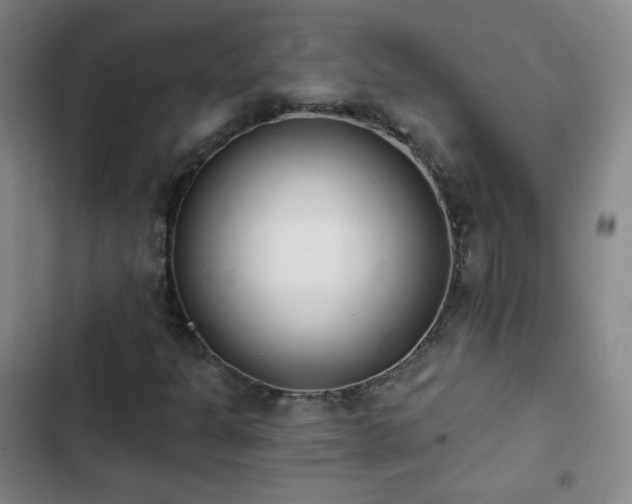 X0000102851301200808251152