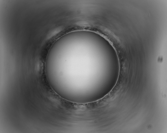 X0000102851302200808251152