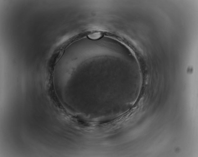 X0000102851303200808251152