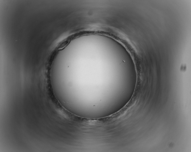 X0000102851304200808251152