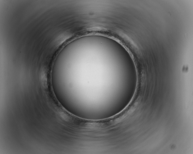 X0000102851305200808251152