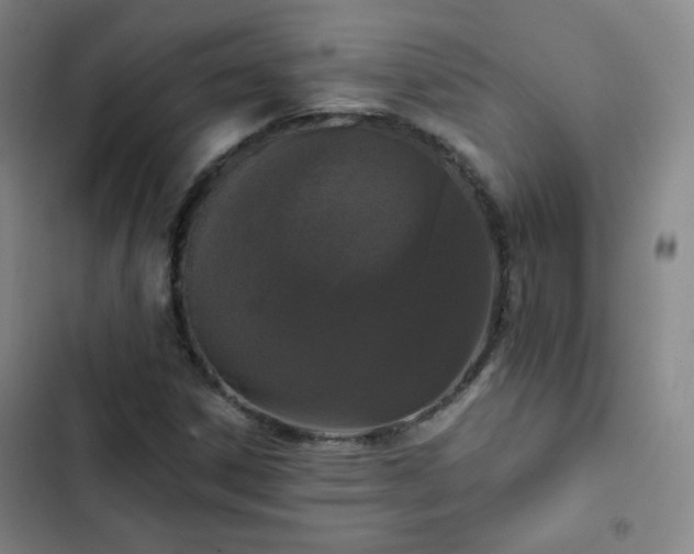 X0000102851306200808251152