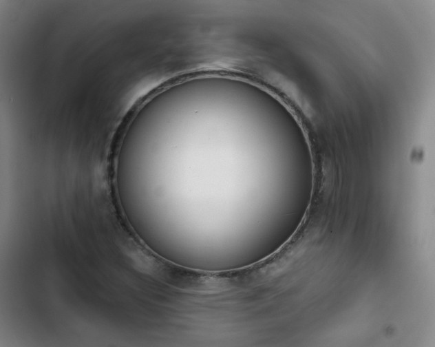 X0000102851308200808251152
