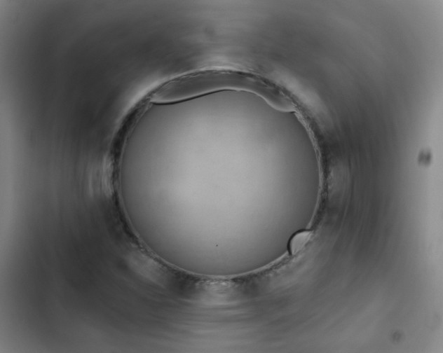 X0000102851310200808251152