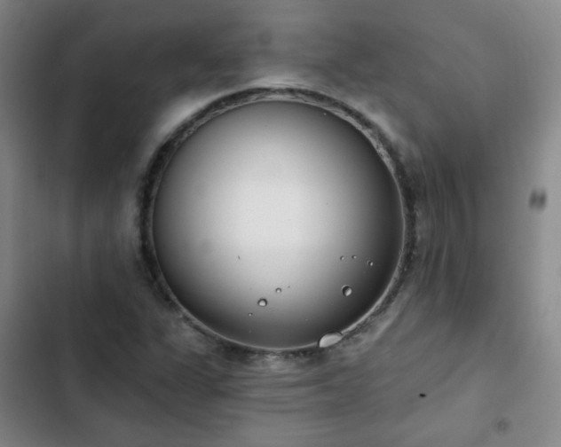 X0000102851311200808251152