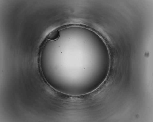 X0000102851312200808251153