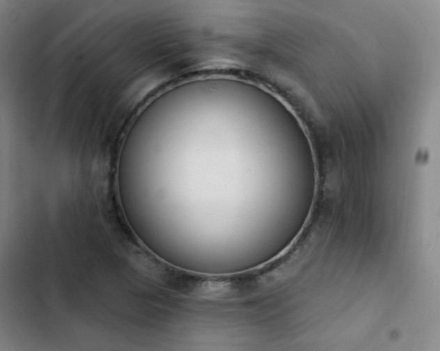 X0000102851313200808251153