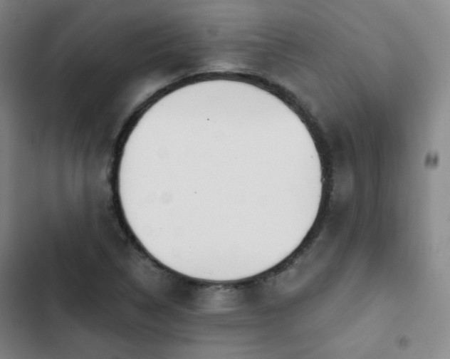 X0000102851314200808251153