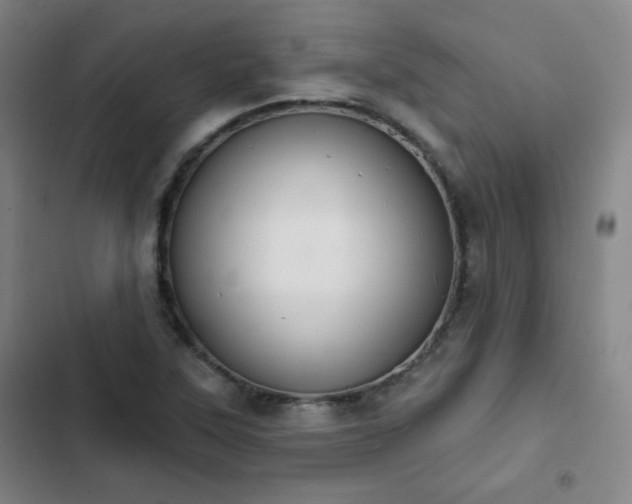 X0000102851315200808251153