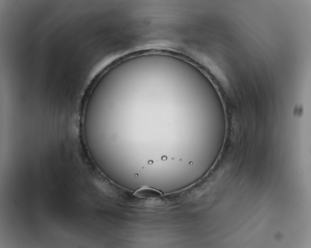X0000102851316200808251153