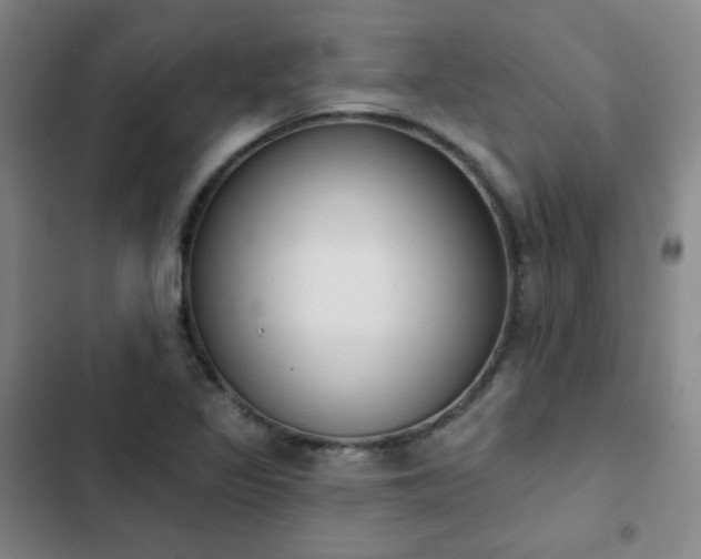 X0000102851317200808251153